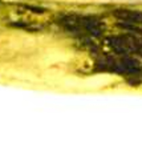 Homeroots 7 Glass Set Of 4 Square Edge Gold Plates   376063