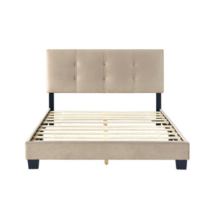 English Elm 1pc Full Platform Bed Newberry Brown Velvet Upholstered Button-Tufted Adjustable Headboard, Solid Wood Frame Light Brown 60 L x 26 W x 5 H B011P203574