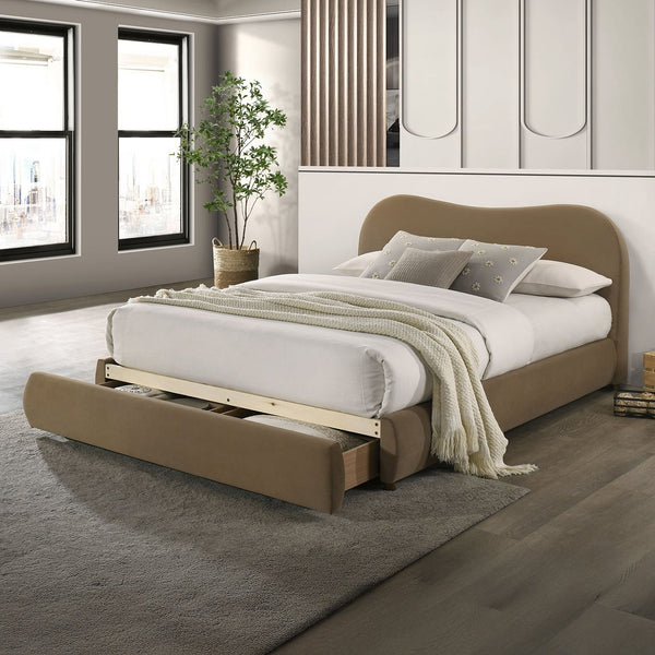 English Elm Beautiful Curved Upholstered Queen Bed with Built-In Footboard Drawer, Solid Wood Frame, Elegant Upholstery Brown 40 L x 21 W x 15 H B2741S00715