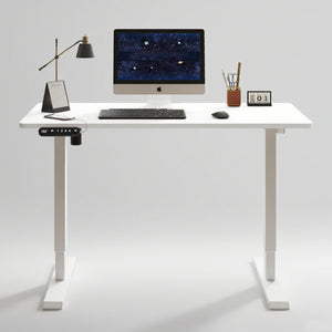 English Elm 55"×24" Electric Sit Stand Desk Steel Frame with Memory Presets and Usb-c Charging Port White W614P376324