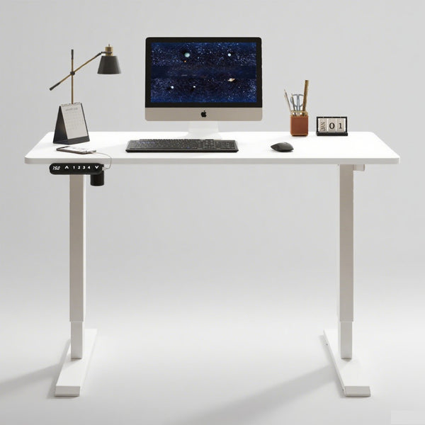 English Elm 55"×24" Electric Sit Stand Desk Steel Frame with Memory Presets and Usb-c Charging Port White W614P376324