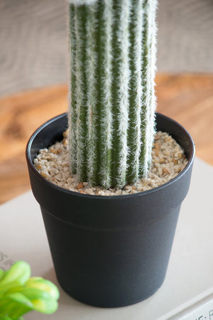 English Elm 8x5x24.5"H Lifelike Saguaro Cactus in Black Pot — Textured Two-Tone Artificial Plant for Low-Light Décor W2078P294239