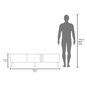 English Elm Altoona TV Stand Black Multi with Light Oak & Gold Accents, Engineered Wood, Cable Management, Stylish Storage B092P254749