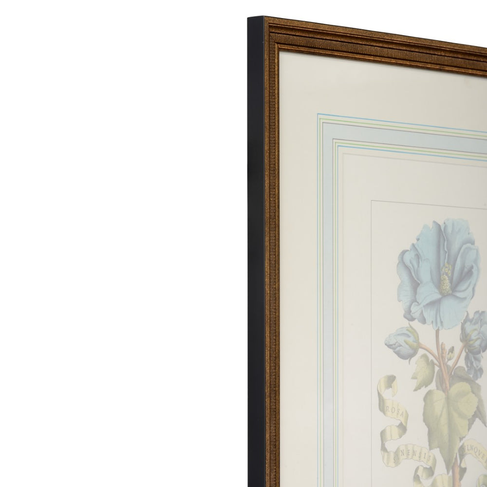 Chelsea House Bl Hand-Colored Botanical Engraving With Gold Frame & French Mat, Italian Floral Art, 22.5"X19" 380166