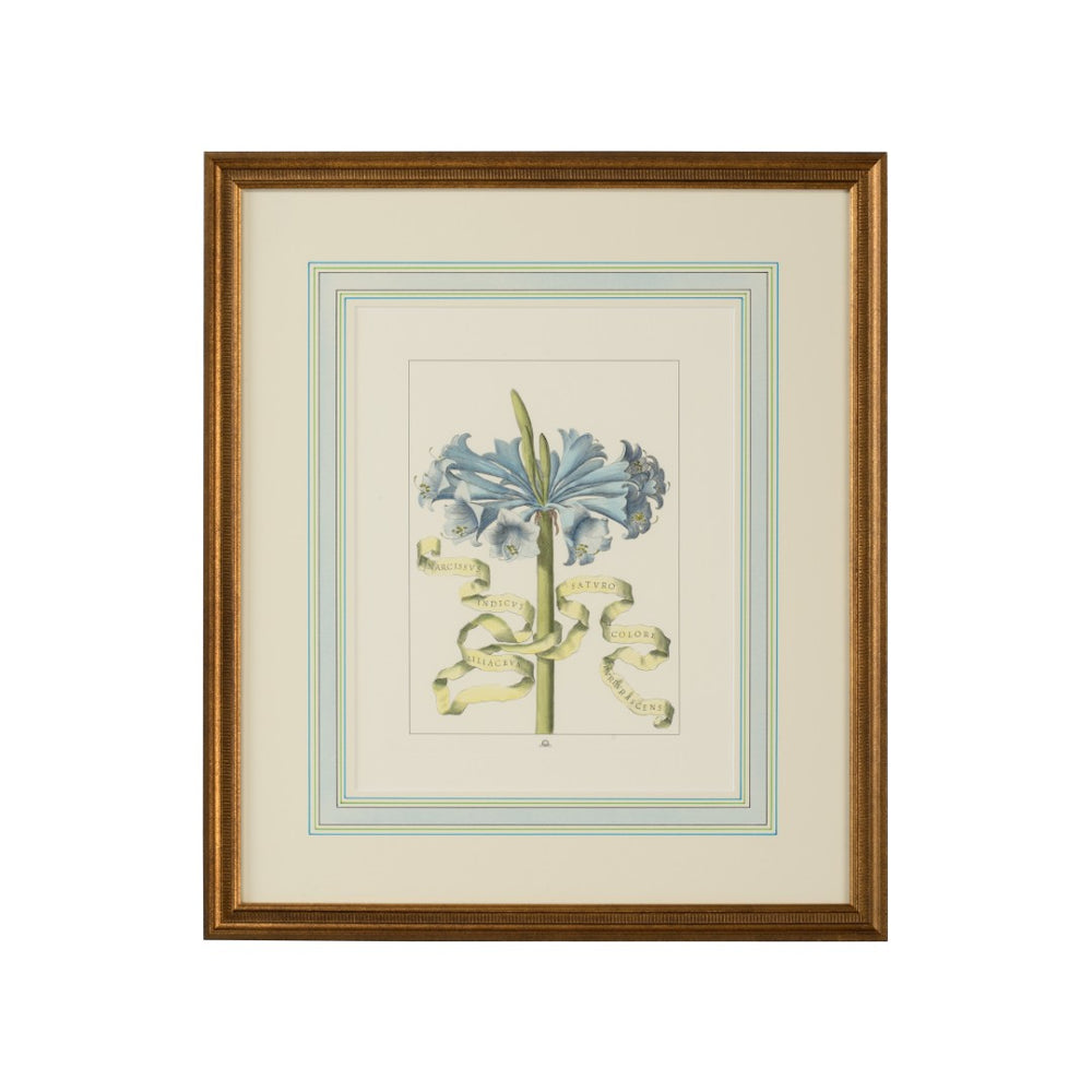 Chelsea House Bl Hand-Colored Floral Engraving In Classic Gold Frame With French Mat, Italian Vintage Charm, 22.5X19" 380169