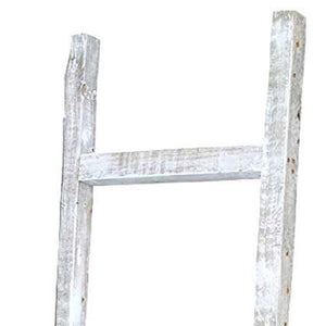 Homeroots 6 Step Rustic White Wash Wood Ladder Shelf  Wood 380341