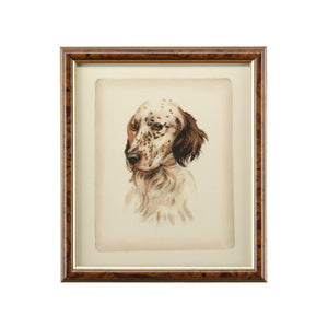 Chelsea House Danchin Hand-Colored Setter Print In Brown & Gold Frame With Glass — Ready-To-Hang Classic For Homes 380358