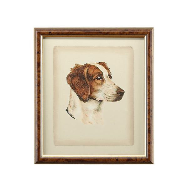 Chelsea House Danchin Hand-Colored Setter Print In Brown & Gold Frame With Glass — Ready-To-Hang Classic For Homes 380358