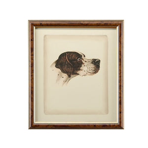 Chelsea House Danchin Hand-Colored Setter Print In Brown & Gold Frame With Glass — Ready-To-Hang Classic For Homes 380358