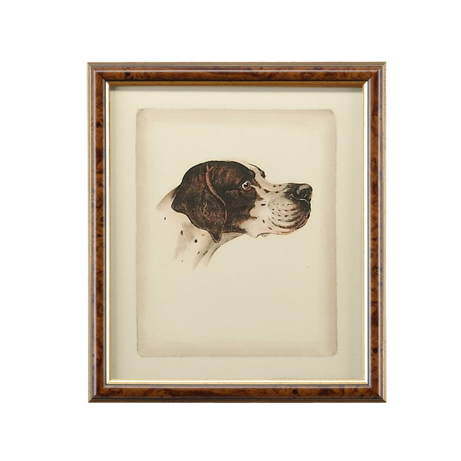 Chelsea House Danchin Hand-Colored Pointer Print In Brown & Gold Frame, 18X15.5 Framed Art For Study Or Lodge 380359