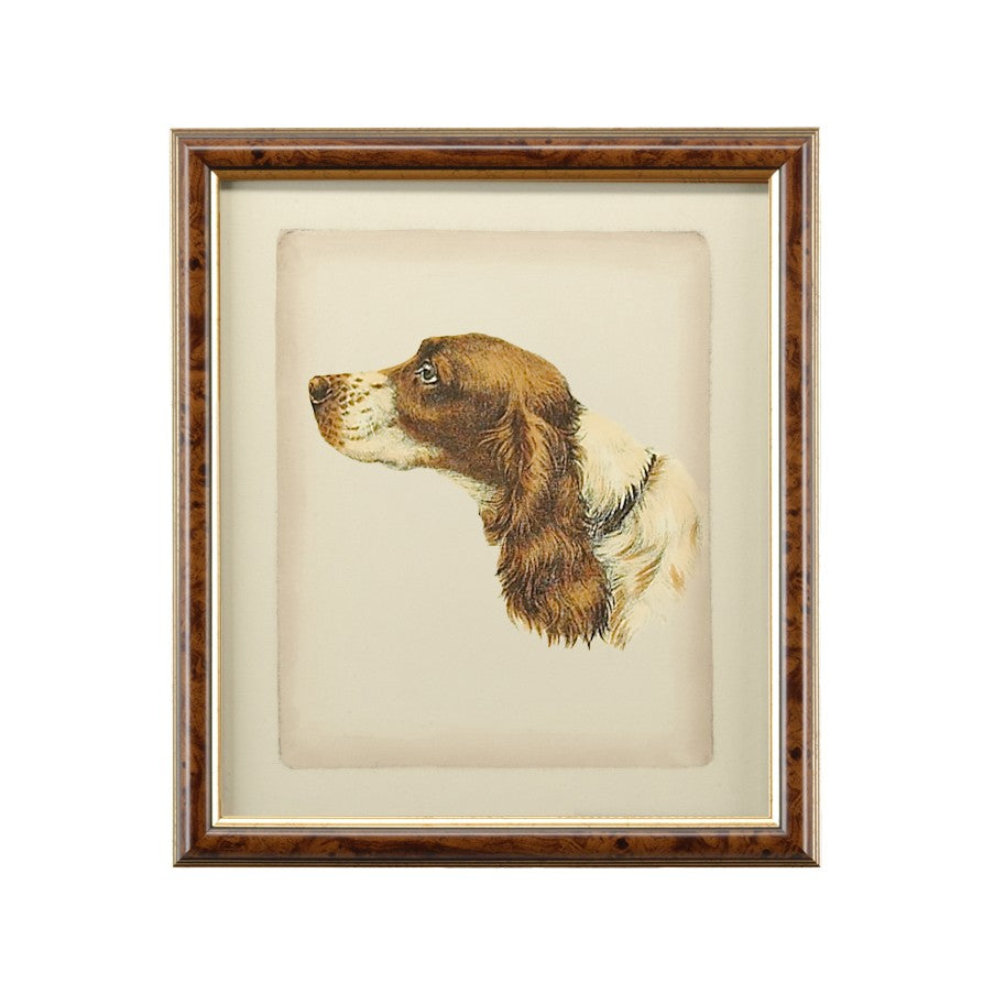 Chelsea House Danchin Hand-Colored Cocker Spaniel Print In Brown-Gold Frame With Glass — Warm Classic Decor, 18X15.5" 380360