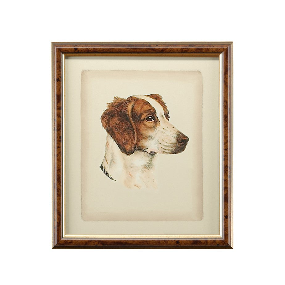 Chelsea House Danchin Hand-Colored Cocker Spaniel Print In Brown-Gold Frame With Glass — Warm Classic Decor, 18X15.5" 380360