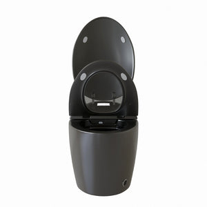 English Elm Unique Smart One Piece Toilet with Bidet Foot Sensor Auto Lid Warm Dryer Night Light W3133P384914