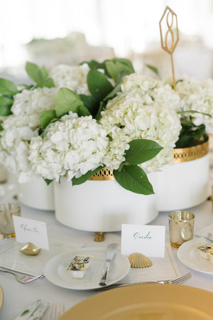 Chelsea House Tracery Cachepot Cream With Antique Gold Filigree — Quatrefoil Planter On Claw Feet For Orchids And DéCor 382597