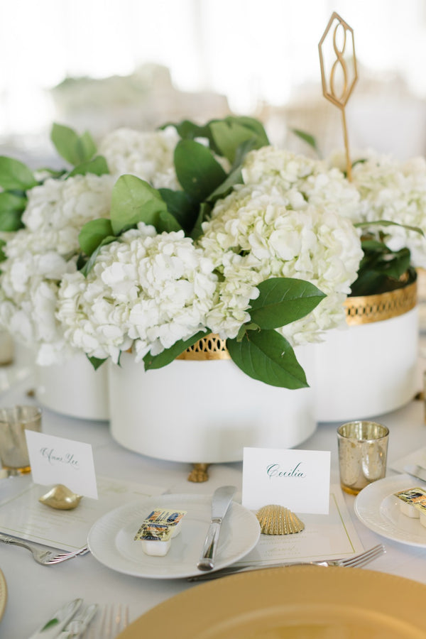 Chelsea House Tracery Cachepot Cream With Antique Gold Filigree — Quatrefoil Planter On Claw Feet For Orchids And DéCor 382597