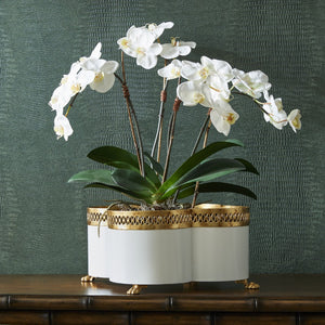 Chelsea House Tracery Cachepot Cream With Antique Gold Filigree & Claw Feet — Elegant Quatrefoil Planter For Orchids 382899