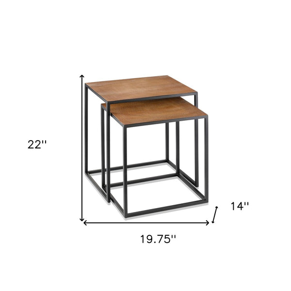HomeRoots 22" Contemporary Brown Resin End Table with Sleek Black Iron Base - Stylish Accent for Any Room Lion 383762