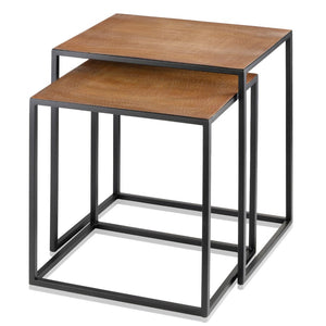 HomeRoots 22" Contemporary Brown Resin End Table with Sleek Black Iron Base - Stylish Accent for Any Room Lion 383762