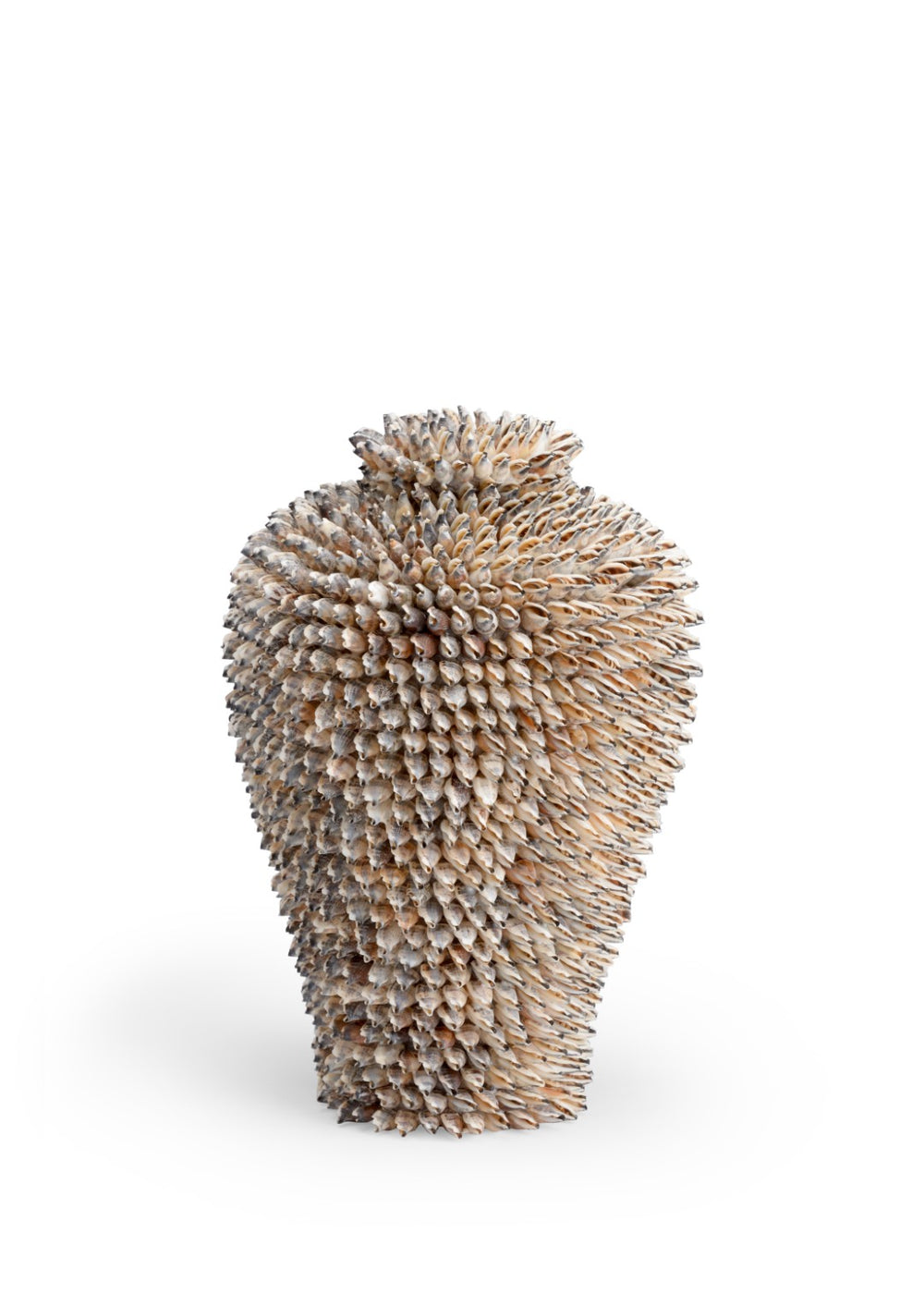 Chelsea House Strombus Sculptural Shell Accent 15" Coastal Organic Polished Mantel DéCor With Natural Grain Finish 383954