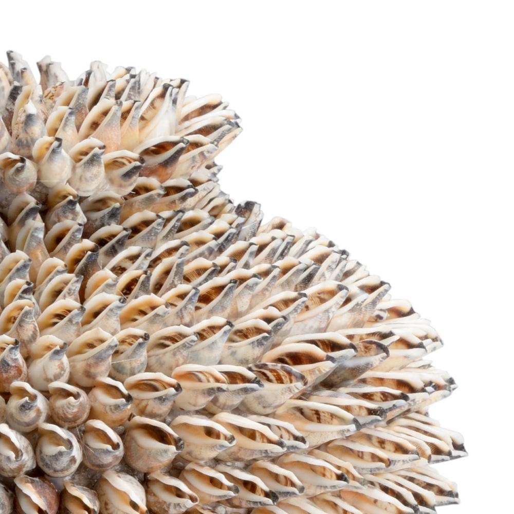 Chelsea House Strombus Sculptural Shell Accent 15" Coastal Organic Polished Mantel DéCor With Natural Grain Finish 383954