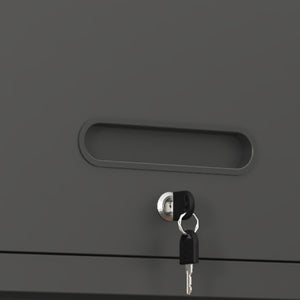 English Elm Heavy Duty Wall Mounted Steel Cabinet Locking Lift Door Garage Workshop Storage Black T2398P236482