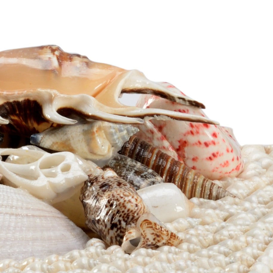 Chelsea House White Shell Boxes Pair With Hand-Applied Nassa Shells, Fabric-Lined Keepsake Boxes For Coastal Decor 384163