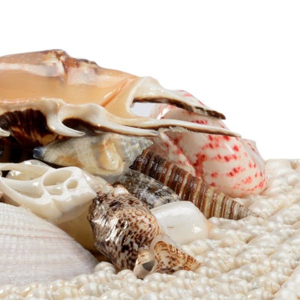 Chelsea House White Shell Boxes Pair With Hand-Applied Nassa Shells, Fabric-Lined Keepsake Boxes For Coastal Decor 384163