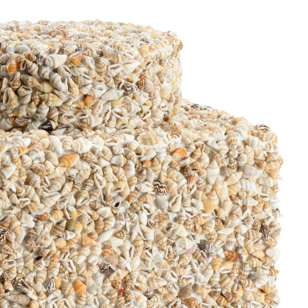 Chelsea House Tea Caddy Handcrafted With Natural Nassa Shells, Hinged Lid Storage Box For Tea & Keepsakes — Coastal Decor 384169