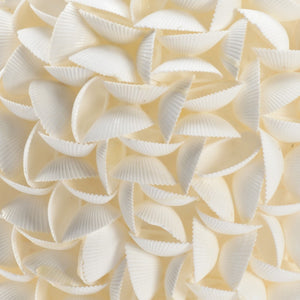 Chelsea House Shelled Arca Shell Decorative Urn 18"H X12" Coastal Mantel Accent — Hand-Applied Textured Seaside Artifacts 384172