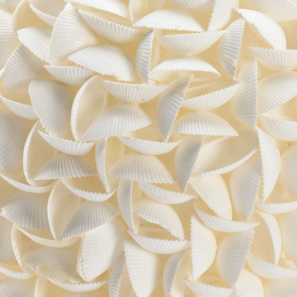 Chelsea House Shelled Arca Shell Decorative Urn 18"H X12" Coastal Mantel Accent — Hand-Applied Textured Seaside Artifacts 384172