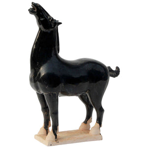 Lilys Black Stallion Small 3845-S