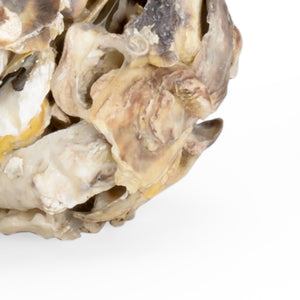 Chelsea House Oyster Shell Candleholders Set Of 2 — Handcrafted Coastal Taper Holders, Textured Nautical Decor Glow 384571