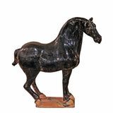 Lilys Black Stallion Medium 3846