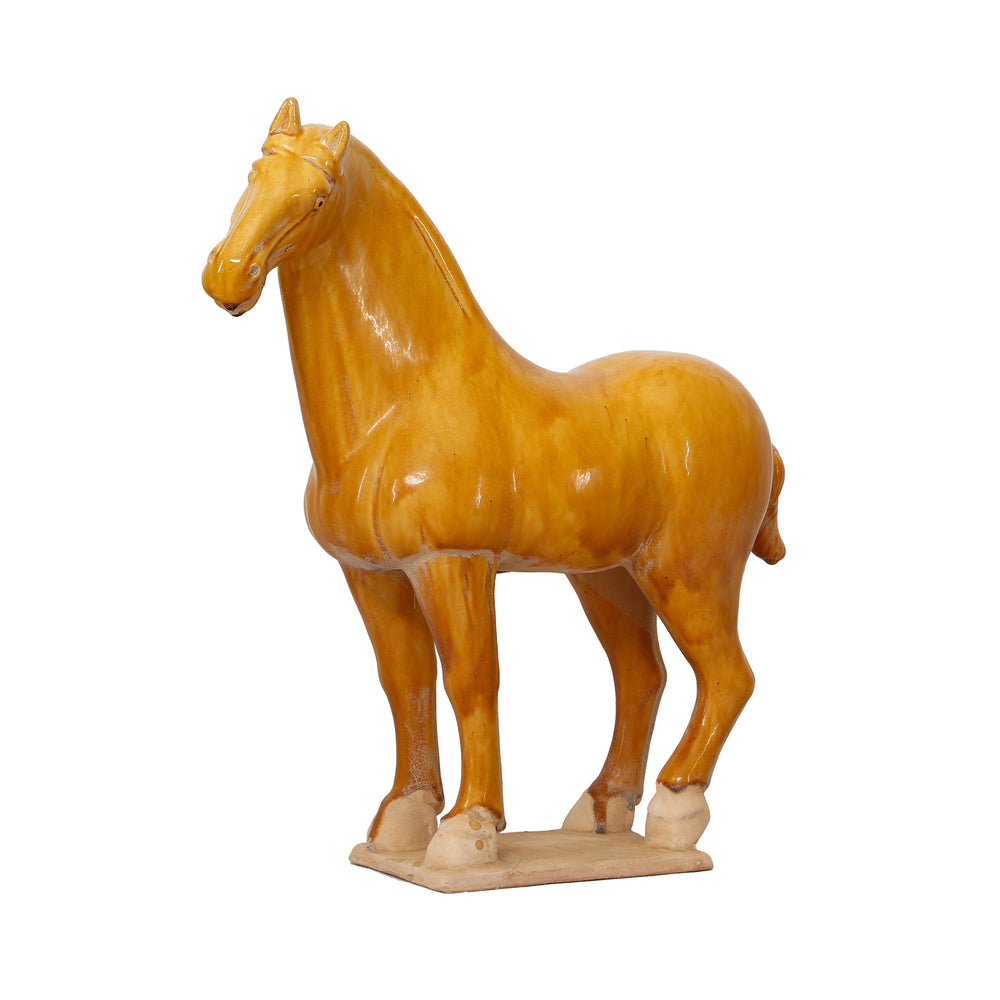 Lilys Stallion Medium - Yellow 3846-Y