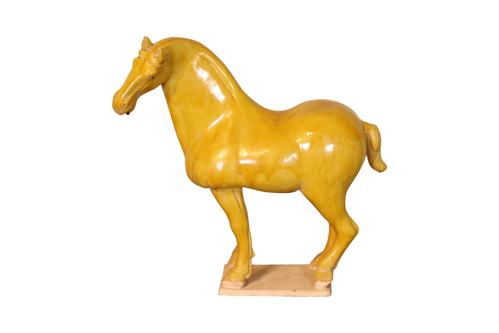 Lilys Stallion Medium - Yellow 3846-Y