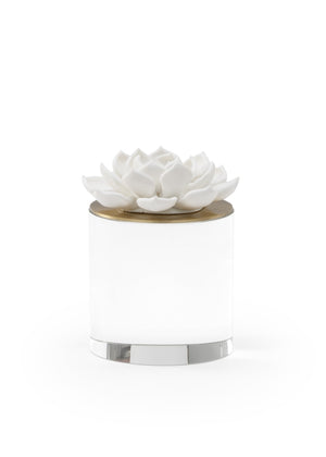 Chelsea House Succulent Handcrafted Porcelain Sculpture With Crystal Base, Antique Brass Accents By Claire Bell — Elegant DéCor 384694