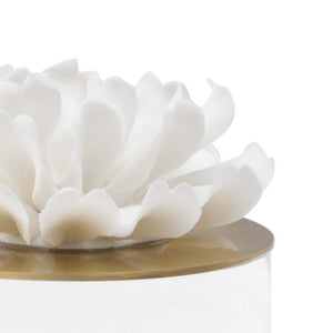 Chelsea House Succulent Handcrafted Porcelain Sculpture By Claire Bell With Crystal Base & Antique Brass Accents, 7" Tall 384695