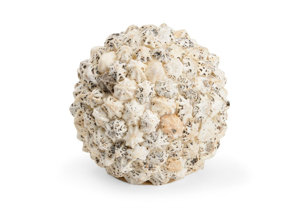 Chelsea House Shell Ball Large Handcrafted Saccharine Shells In Cream Ivory Tones — Coastal Texture For Tablescapes 385121