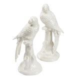 Large Parrots With Cherries - Pair White/Cream 385744 Chelsea House