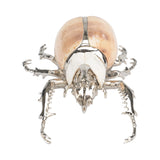 Beetle Paperweight Silver, Brown 385856 Chelsea House