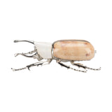 Beetle Paperweight Silver, Brown 385856 Chelsea House