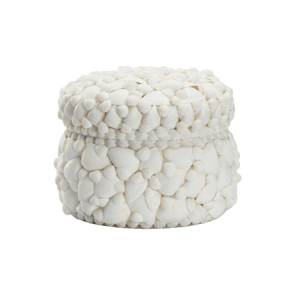 Chelsea House Round White Shell Box — Coastal Decorative Storage With Removable Lid, Authentic Shell Texture, 7"H X 8.5"W 385859