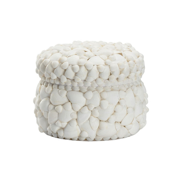 Chelsea House Round White Shell Box — Coastal Decorative Storage With Removable Lid, Authentic Shell Texture, 7"H X 8.5"W 385859