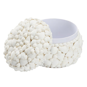 Chelsea House Round White Shell Box — Coastal Decorative Storage With Removable Lid, Authentic Shell Texture, 7"H X 8.5"W 385859
