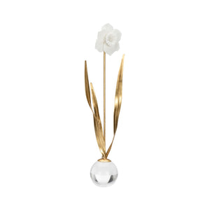 Daffodil Gold, White/Cream 385956 Chelsea House