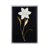 Porcelain Flower Black Black, White/Cream 385970 Chelsea House