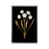 Porcelain Flower Black Black, White/Cream 385971 Chelsea House