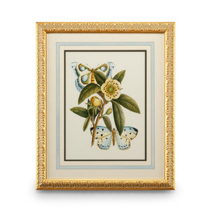Chelsea House Butterfly Plate Lithograph Oasis I — Gold‑Leaf Frame, French Mat, Glazed Art For Elegant Living Spaces 386095