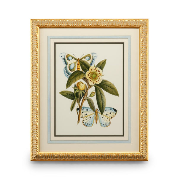 Chelsea House Butterfly Plate Lithograph Oasis I — Gold‑Leaf Frame, French Mat, Glazed Art For Elegant Living Spaces 386095