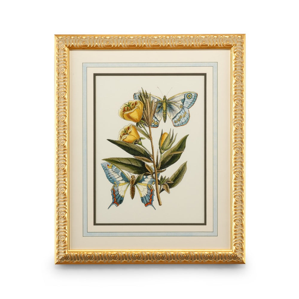 Chelsea House Butterfly Oasis Ii Plate Lithograph With Gold-Leaf Frame, French Matting, Gallery-Quality Wall Art (27X22) 386096
